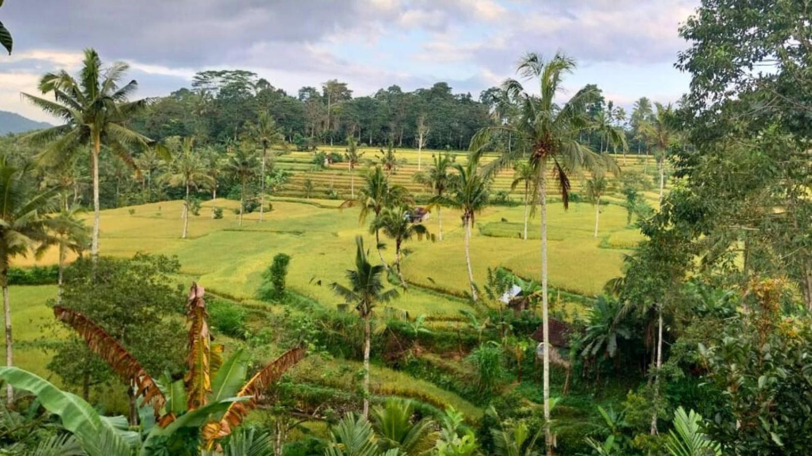 Pondok Sapta Sallaca Selat Extérieur photo